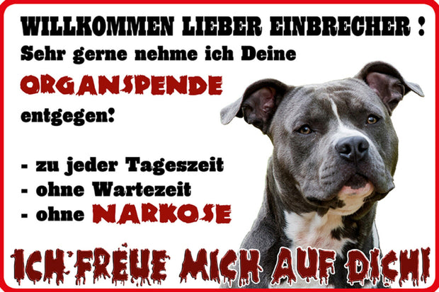 Schild Spruch Willkommen lieber Einbrecher Sehr gerne nehme ich Warnung Hund JW