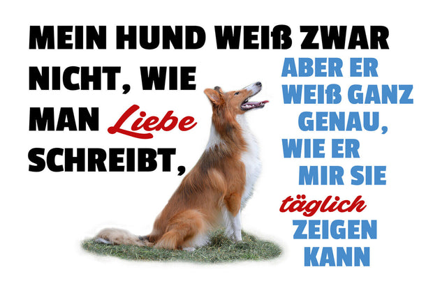 Schild Spruch Mein Hund weiß zwar nicht wie man Liebe schreibt zeigt sie mir  JW