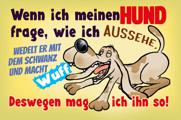 Schild Spruch Frag ich Hund wie ich aussehe wedelt mit Schwanz Mag ich ihn JW