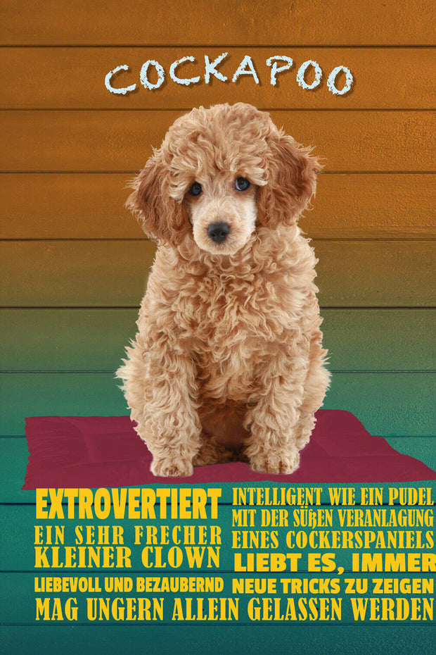 Schild Spruch Cockapoo Steckbrief Extrovertiert Liebevoll Hund JW