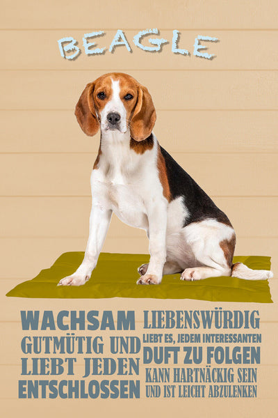 Schild Spruch Beagle Steckbrief Wachsam Gutmütig Liebenswürdig Hund JW