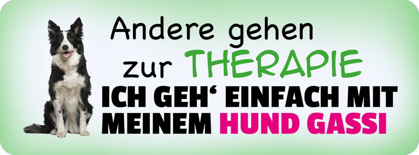 Schild Andere Gehen Zur Therapie Ich Geh Einfach Mit Meinem Hund Gassi 27 x 10