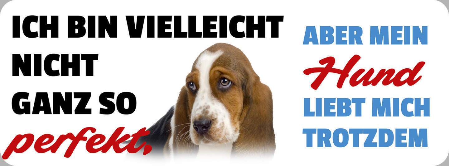 Schild Ich Bin Vielleicht Nicht So Perfekt Aber Mein Hund Liebt Mich 27 x 10