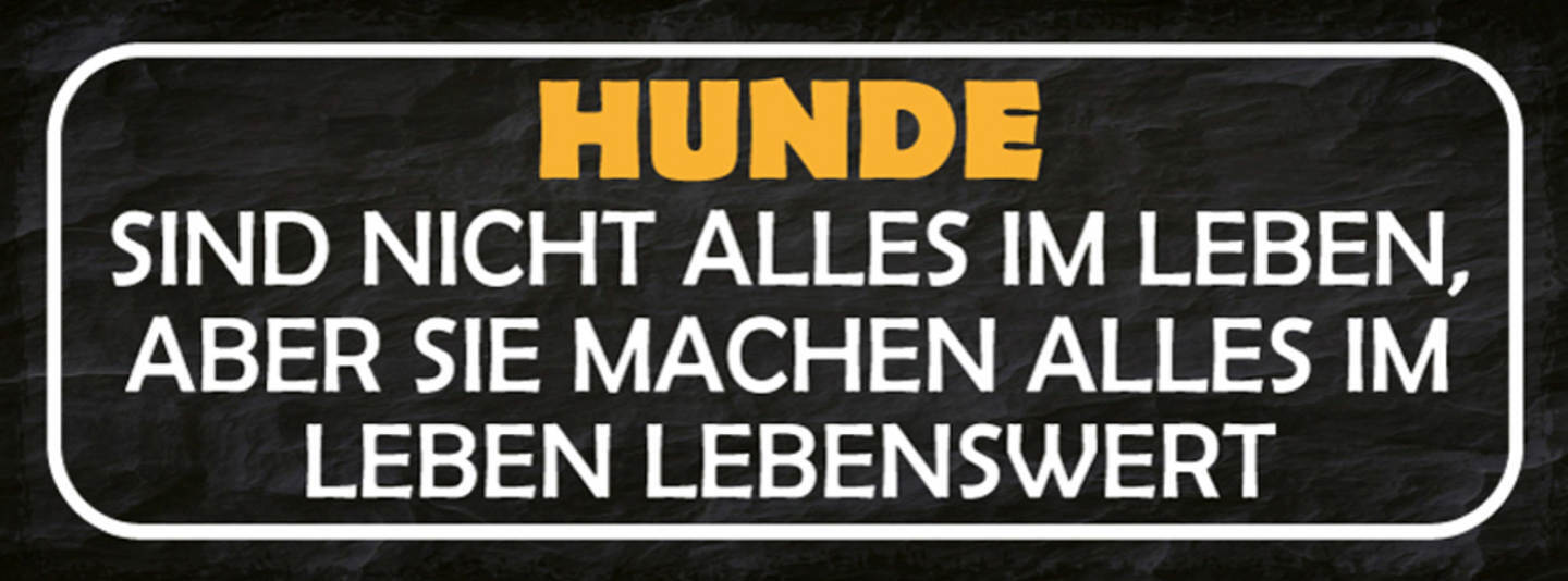 Schild Hunde Sind Nicht Alles Im Leben Aber Sie Machen Alles Lebenswert 27x10