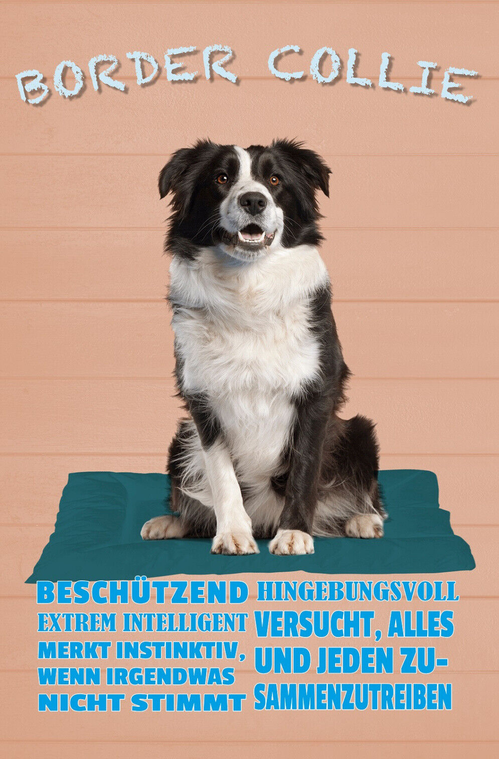 Schild Spruch Border Collie Beschützend Extrem Intelligent Hund JW