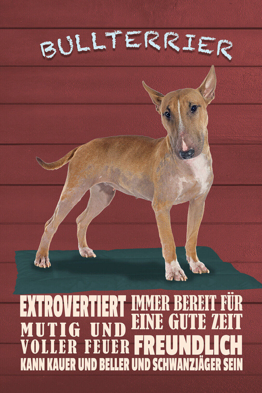 Schild Spruch Bullterrier Mutig Freundlich Extrovertiert Hund JW