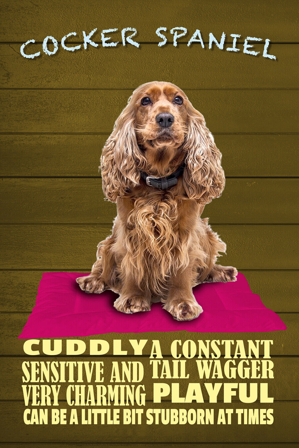 Schild Spruch Cocker Spaniel Steckbrief Playful Verspielt Hund JW