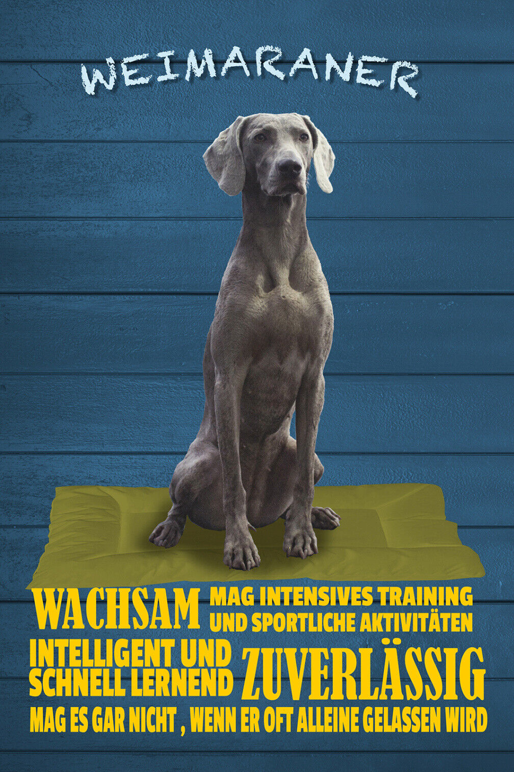 Schild Spruch Weimaraner Steckbrief Wachsam Zuverlässig Hund JW