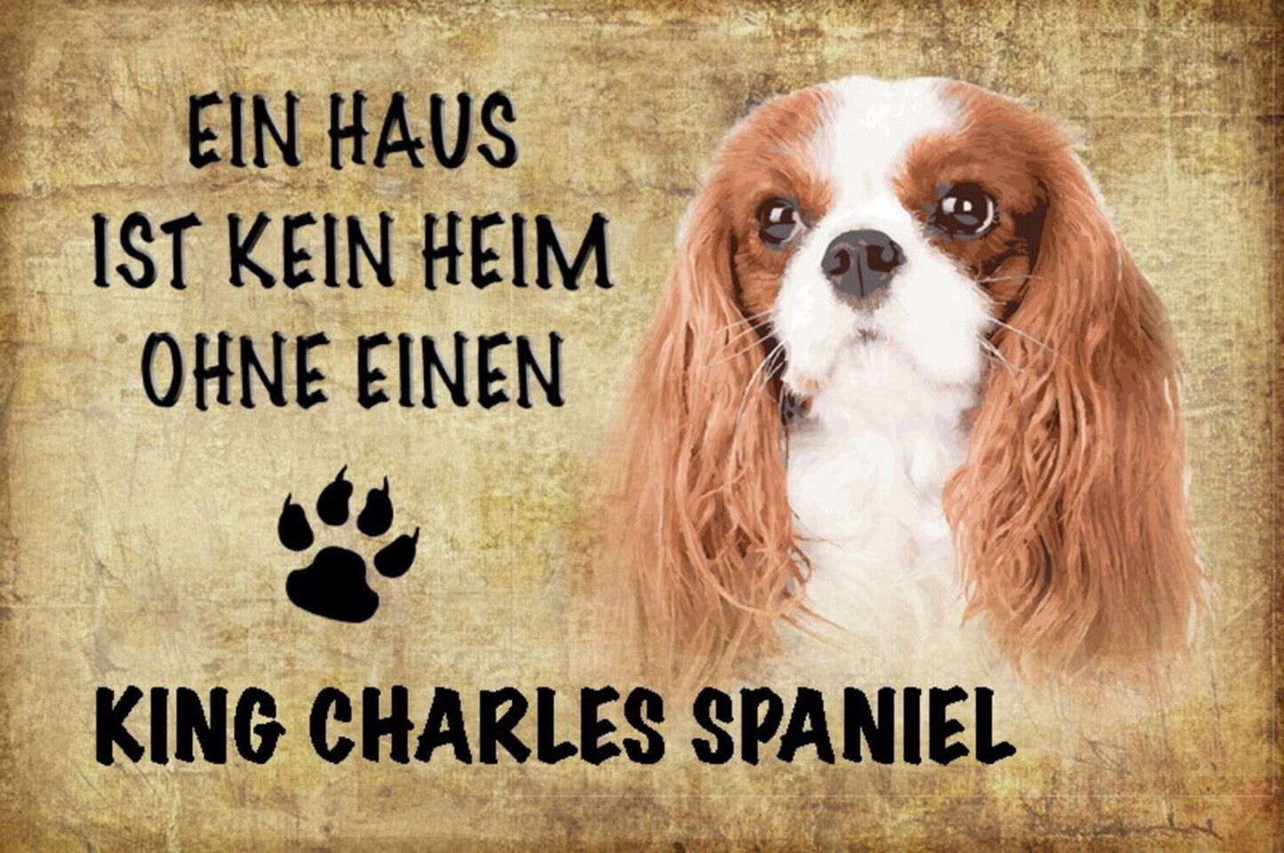 Schild Spruch Haus ist kein Heim ohne King Charles Spaniel Hund JW