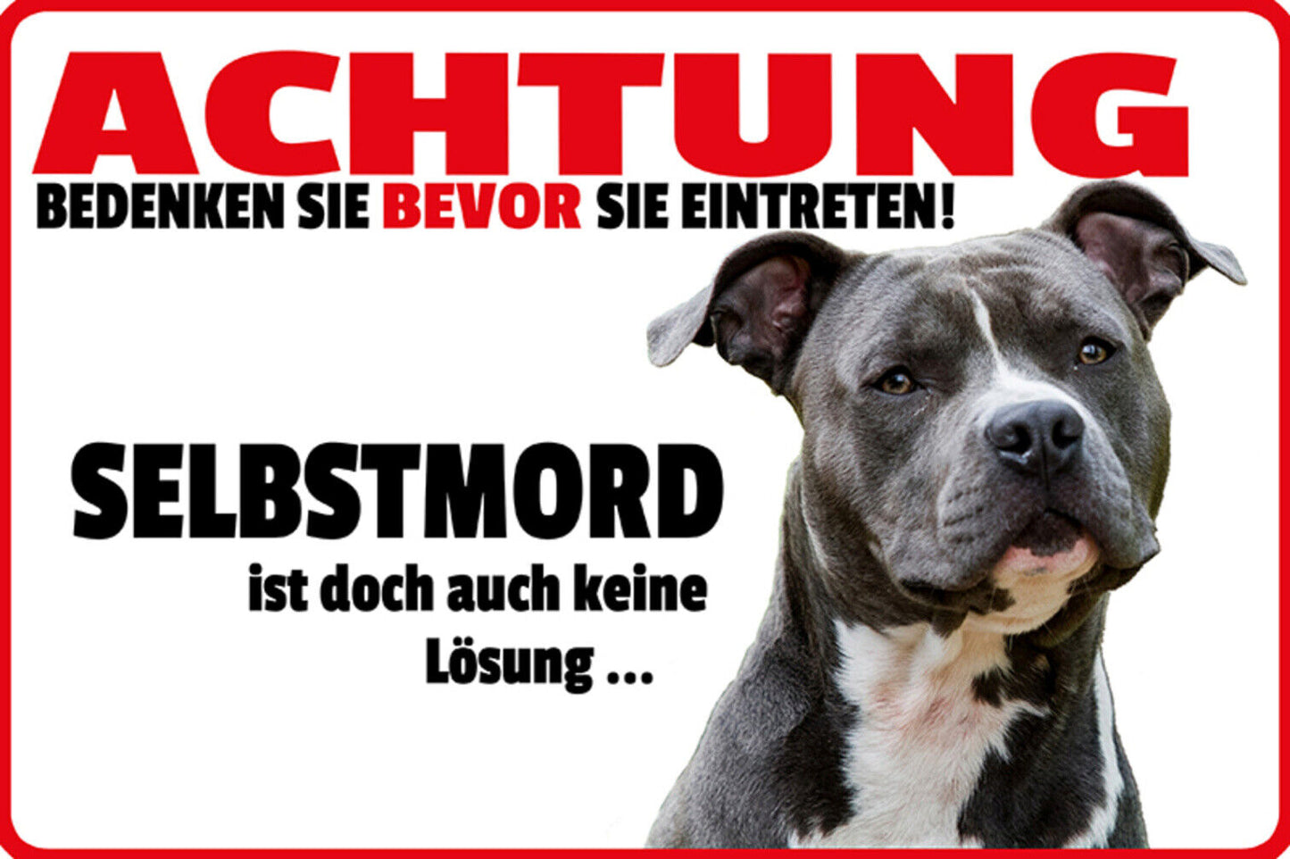 Schild Spruch Achtung Selbstmord ist keine Lösung Warnung Hund JW