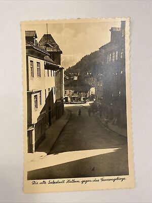 Die alte Salzstadt Hallein gegen das Tennengebirge 60242