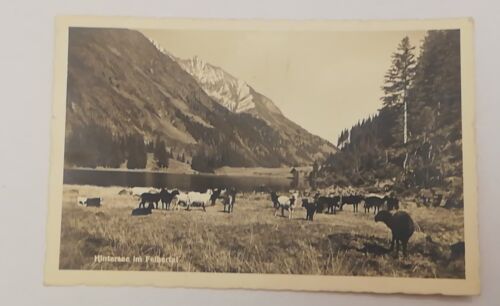 Salzburg Hintersee Felbertal Mittersill Pinzgau Schafe Berg 600312A tl