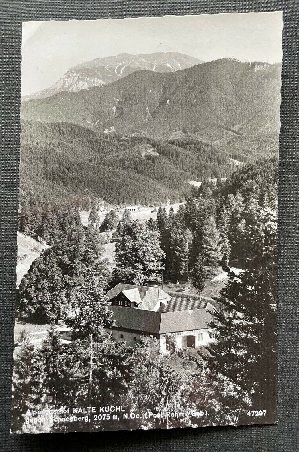 Alpengasthof Kalte Kuchl gg. Schneeberg Wirt Gebirge Niederösterreich 402677 C