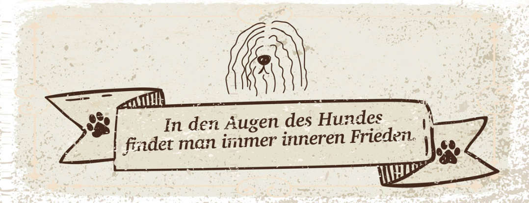 Schild In Den Augen Des Hundes Findet Man Immer Inneren Frieden Hund Tier 27x10