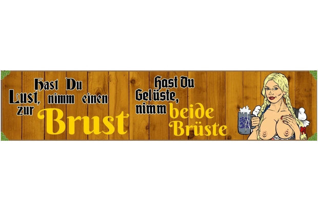 Schild Brust Brüste Frau Dirndl Tracht Bier Zöpfe Blond 46 x 10 Blech od. Holz